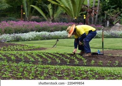 Gardening & Landscaping background